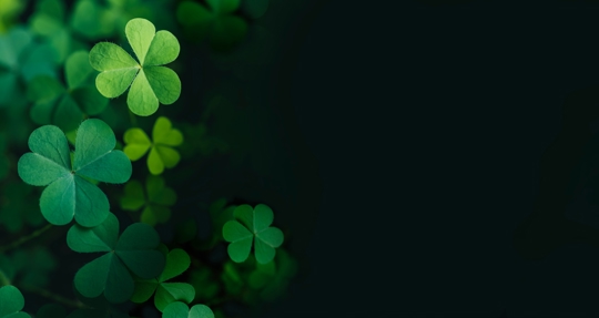 Estate Planning Tip for St. Patrick’s Day: Don’t Leave Your Healthcare Wishes to Luck