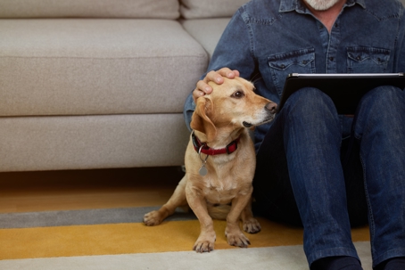 Pet Trusts in South Carolina: Ensuring Care for Your Animals After You Are Gone