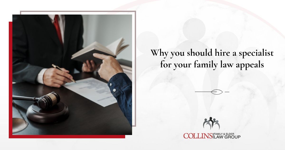 Why you should hire a specialist for your family law appeals